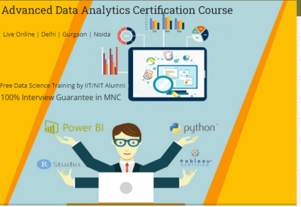 Job Oriented Data Analyst Course in Delhi, 110095. Best Online Live Data Analytics Course in Delhi NCR by IIT. [ 100% Job in MNC] 