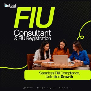 FIU Consultant